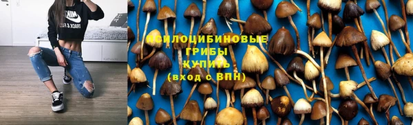 прущая мука Абаза