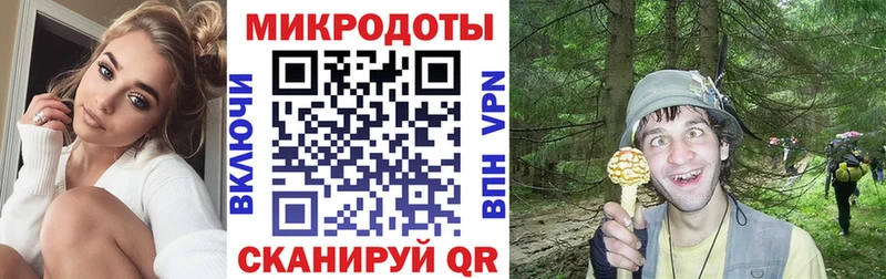 MEGA зеркало  Кинешма  Галлюциногенные грибы Cubensis 