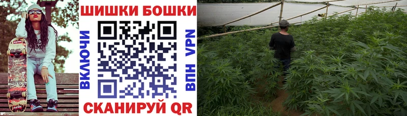 Бошки марихуана гибрид Кинешма
